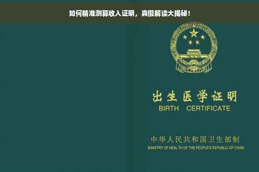 如何精准测算收入证明，真假解读大揭秘！