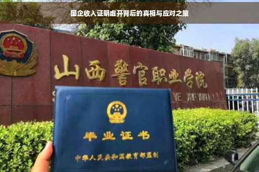 国企收入证明虚开背后的真相与应对之策
