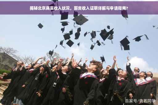揭秘北京真实收入状况，薪资收入证明详解与申请指南?