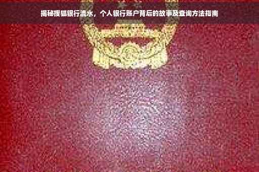 揭秘搜狐银行流水，个人银行账户背后的故事及查询方法指南