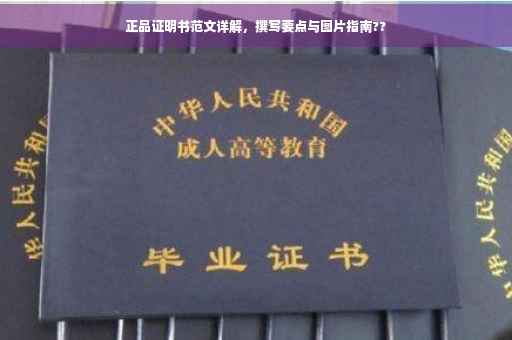 正品证明书范文详解，撰写要点与图片指南??