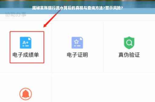 揭秘呆账银行流水背后的真相与查询方法?警示风险?