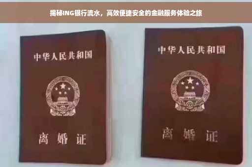 揭秘ING银行流水，高效便捷安全的金融服务体验之旅