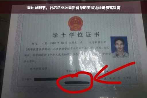 营运证明书，开启企业运营新篇章的关键凭证与格式指南