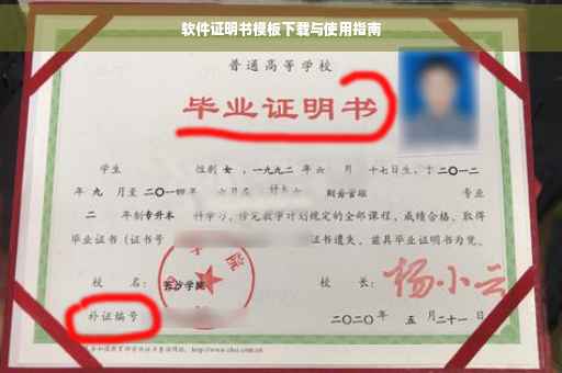 软件证明书模板下载与使用指南