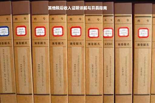 其他税后收入证明详解与开具指南