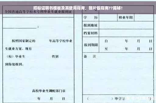 招标证明书模板及其使用指南，图片版指南??揭秘！