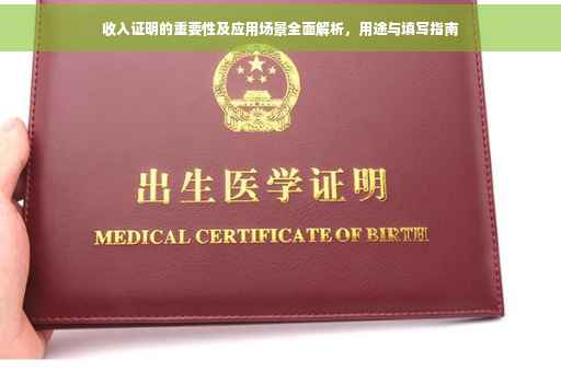 收入证明的重要性及应用场景全面解析，用途与填写指南