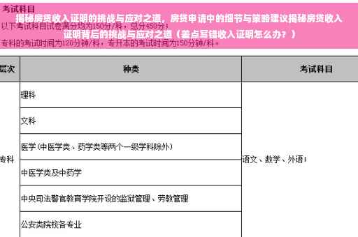 揭秘房贷收入证明的挑战与应对之道，房贷申请中的细节与策略建议揭秘房贷收入证明背后的挑战与应对之道（差点写错收入证明怎么办？）