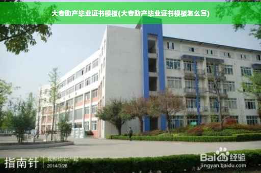 大专助产毕业证书模板(大专助产毕业证书模板怎么写)
