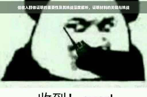 低收入群体证明的重要性及其挑战深度解析，证明材料的关键与挑战