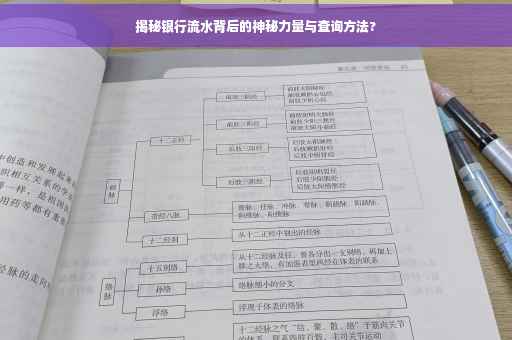 揭秘银行流水背后的神秘力量与查询方法?