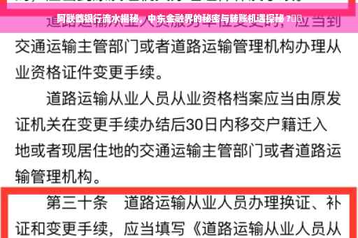 阿联酋银行流水揭秘，中东金融界的秘密与转账机遇探秘 ?⚡️