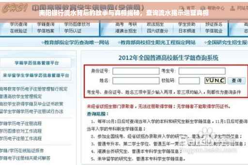 南阳银行流水背后的故事与真相揭秘，查询流水揭示运营真相