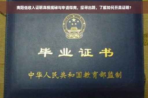 南阳低收入证明真相揭秘与申请指南，探寻出路，了解如何开具证明?