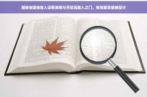 揭秘自媒体收入证明真相与开启高收入之门，有效期及策略探讨
