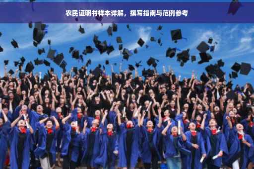 农民证明书样本详解，撰写指南与范例参考