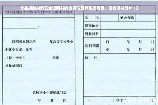 食品接触材料安全证明书的重要性及其实际应用，附证明书图片 ?✨