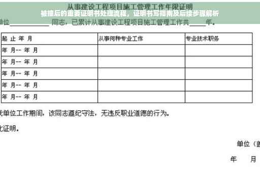 被撞后的重要证明书处理流程，证明书写指南及后续步骤解析