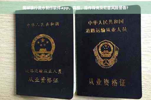 揭秘银行流水制作软件app，真相、操作指南及犯罪风险警告?