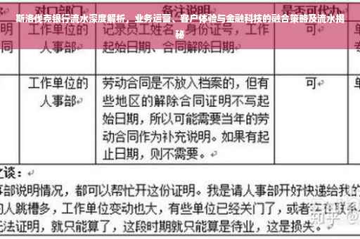 斯洛伐克银行流水深度解析，业务运营、客户体验与金融科技的融合策略及流水揭秘