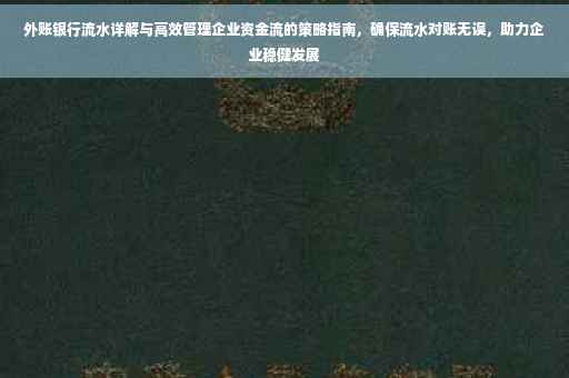 外账银行流水详解与高效管理企业资金流的策略指南，确保流水对账无误，助力企业稳健发展