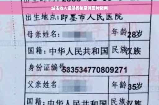 城市收入证明模板及其图片指南
