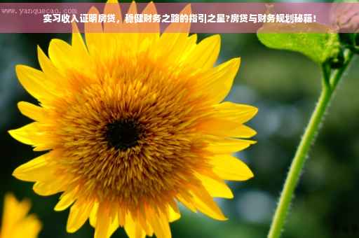 实习收入证明房贷，稳健财务之路的指引之星?房贷与财务规划秘籍！