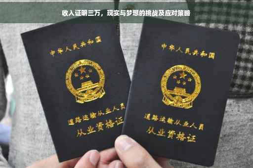 收入证明三万，现实与梦想的挑战及应对策略