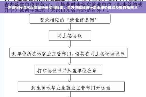 赤峰银行流水深度解析与实用指南，全方位解读银行流水服务体验及操作指南​​
