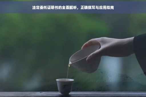 法定委托证明书的全面解析，正确撰写与应用指南