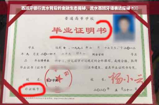 西班牙银行流水背后的金融生态揭秘，流水西班牙语表达探秘 ?⚡️