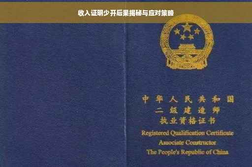 收入证明少开后果揭秘与应对策略