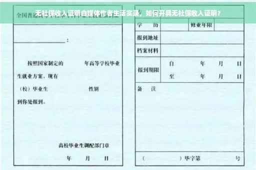 无社保收入证明自媒体作者生活实录，如何开具无社保收入证明？