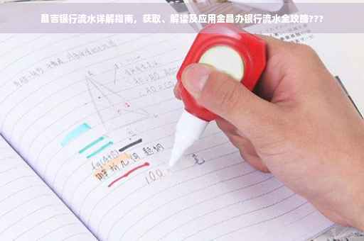 昌吉银行流水详解指南，获取、解读及应用金昌办银行流水全攻略???