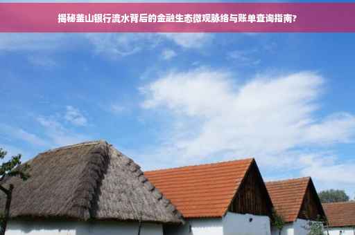揭秘釜山银行流水背后的金融生态微观脉络与账单查询指南?
