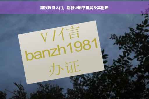 期权投资入门，期权证明书详解及其用途