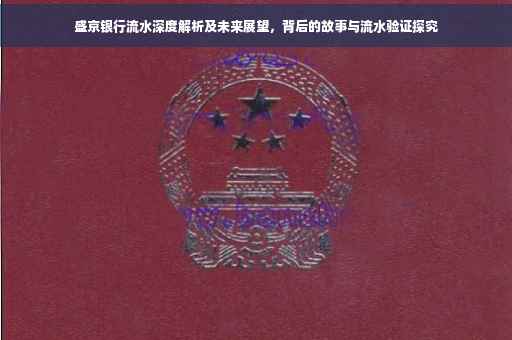 盛京银行流水深度解析及未来展望，背后的故事与流水验证探究