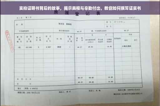 实拍证明书背后的故事，揭示真相与辛勤付出，教你如何撰写证实书