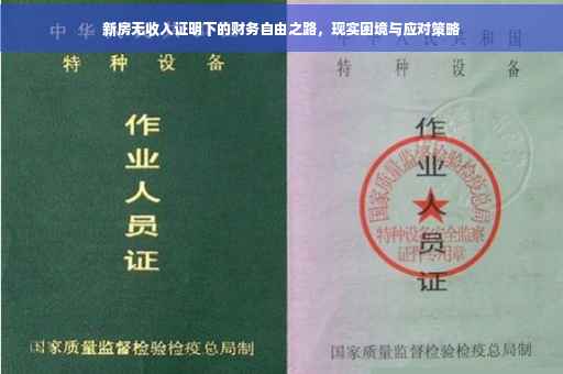 新房无收入证明下的财务自由之路，现实困境与应对策略