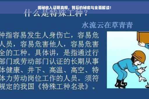 揭秘收入证明真相，背后的秘密与全面解读！