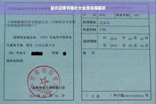 鼻炎证明书图片大全及详细解析