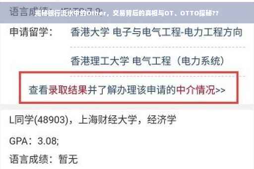 揭秘银行流水中的Other，交易背后的真相与OT、OTTO探秘??