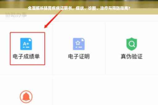全面解析肠胃疾病证明书，症状、诊断、治疗与预防指南?