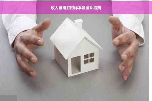 收入证明打印样本及图片指南