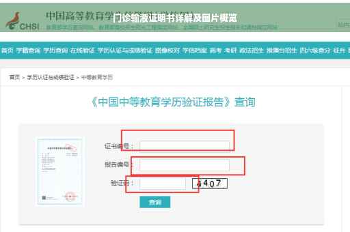 门诊输液证明书详解及图片概览