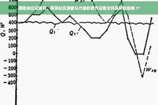 舞阳单位证明书，展现社区骄傲与力量的官方证明文件及获取指南 ??