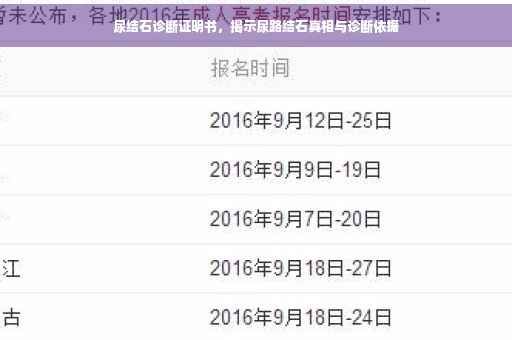 尿结石诊断证明书，揭示尿路结石真相与诊断依据