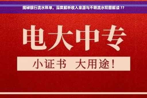 揭秘银行流水账单，深度解析收入来源与不明流水犯罪解读 ??