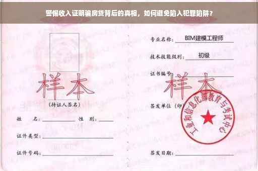 警惕收入证明骗房贷背后的真相，如何避免陷入犯罪陷阱？